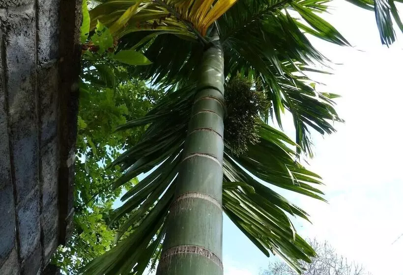 هتل Le Flamboyant