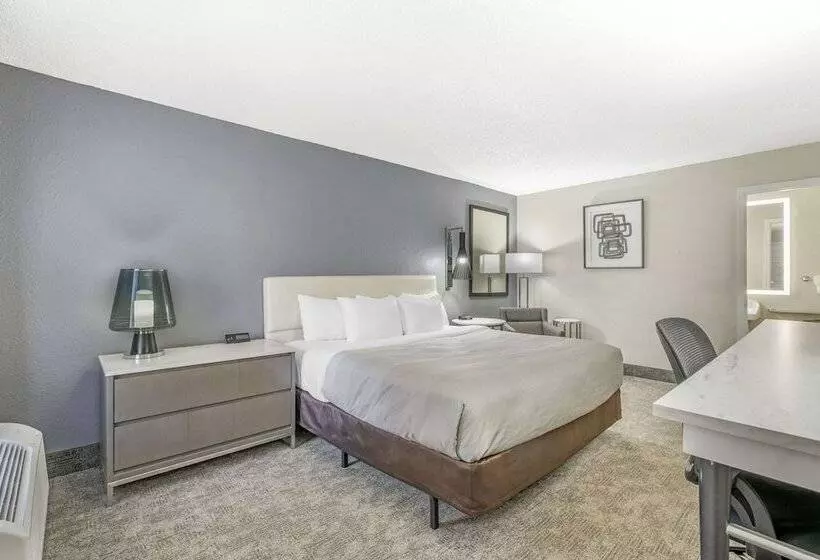 Hotel Quality Inn Daytona Speedway I95