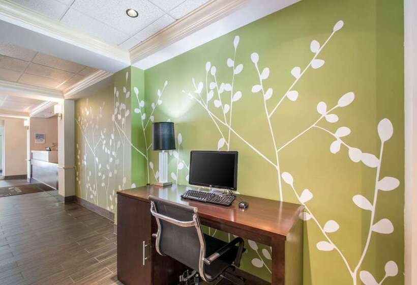 בית מלון כפרי Sleep Inn & Suites