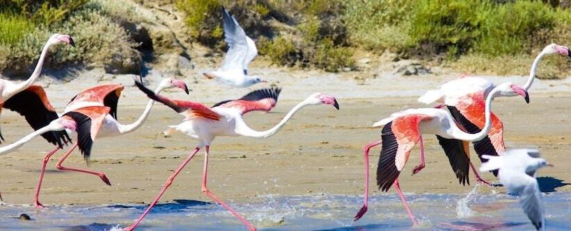 هتل Vila De La Mar & Spa