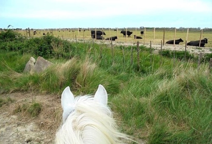 هتل Vila De La Mar & Spa