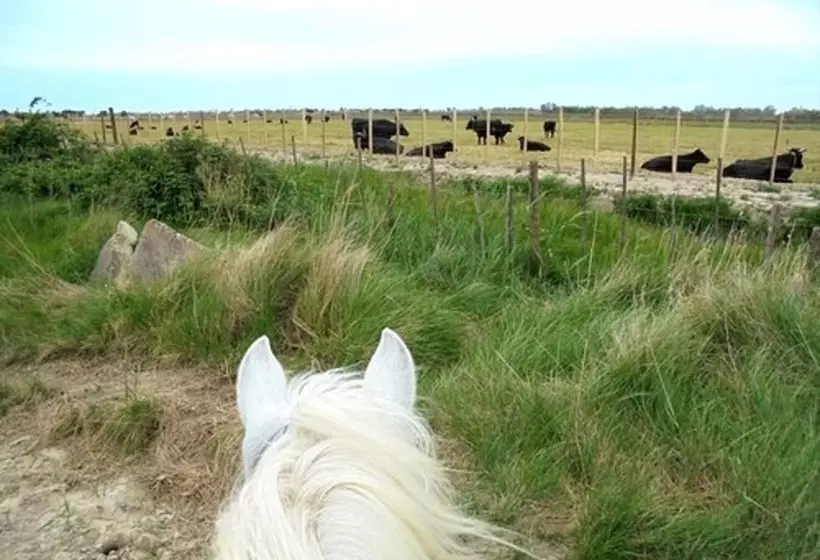 Otel Vila De La Mar & Spa