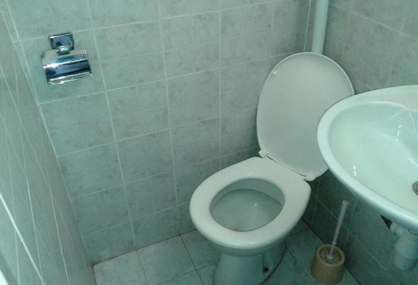 Robinzon Flora & Fauna