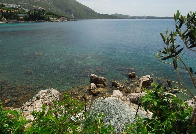 Robinzon Flora & Fauna