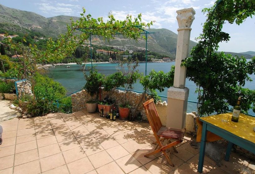 Robinzon Flora & Fauna