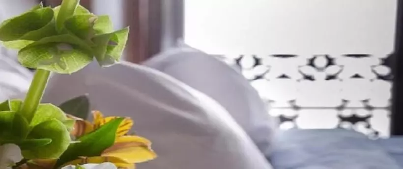 Casa Aspeytia Hotel Boutique