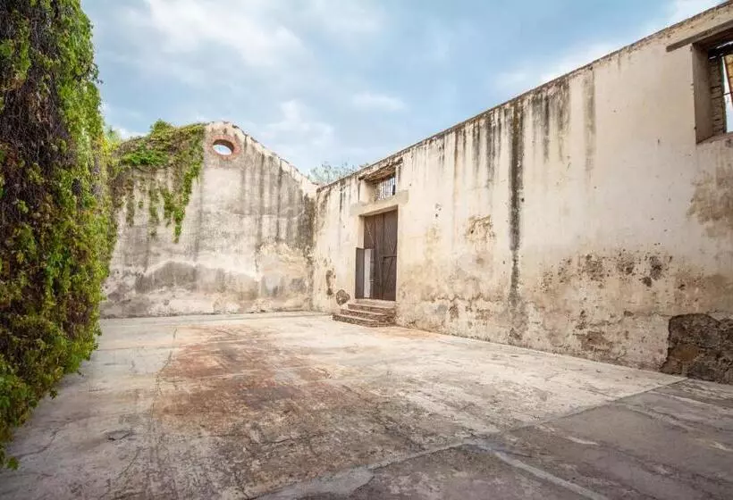 فندق Hacienda La Venta