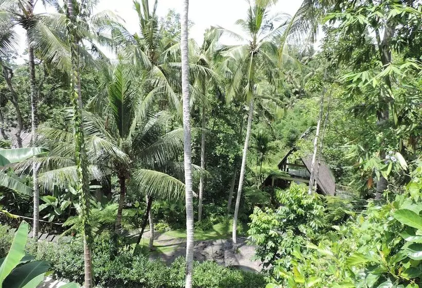 Szálloda Nick S Hidden Cottages By Mahaputra Chse Certified