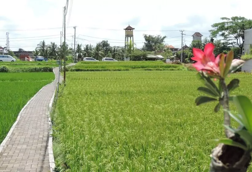 Szálloda Nick S Hidden Cottages By Mahaputra Chse Certified