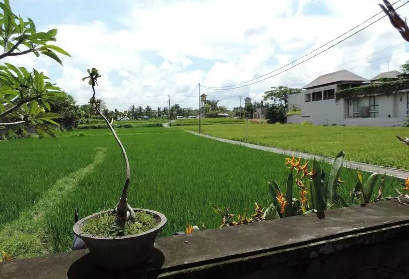 Szálloda Nick S Hidden Cottages By Mahaputra Chse Certified