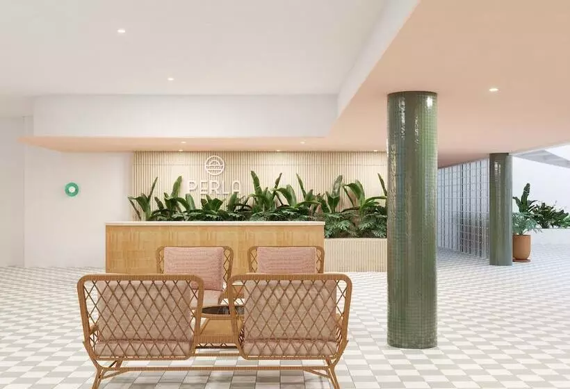 فندق Perla La Paz