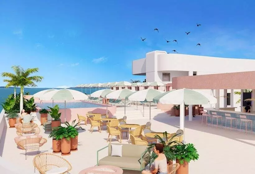 فندق Perla La Paz