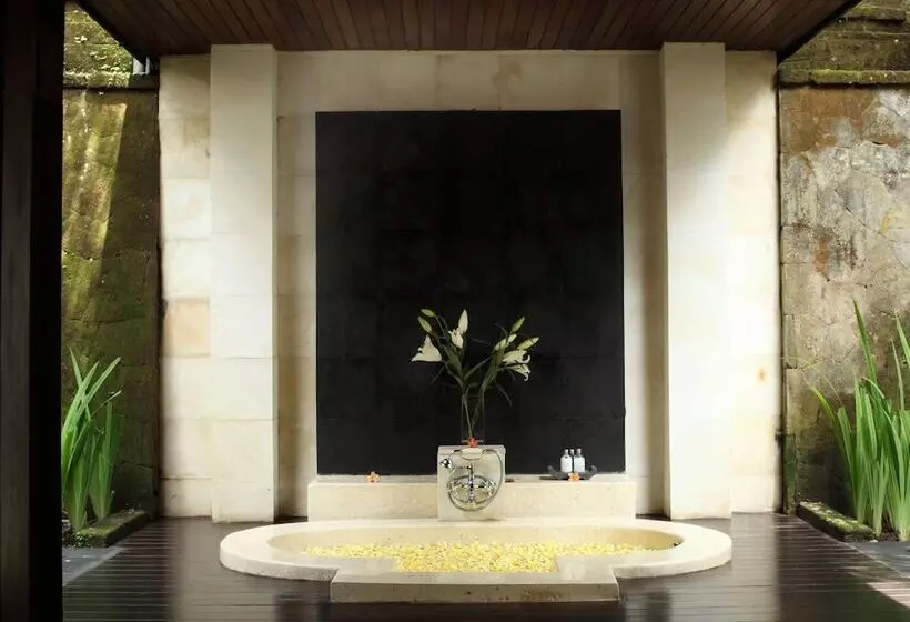 ホテル The Ubud Village Resort & Spa