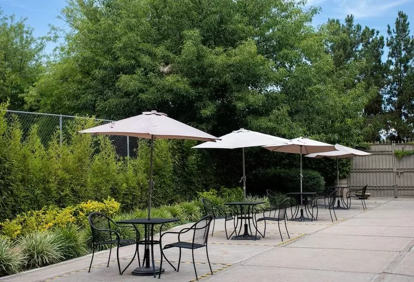 فندق Victoria Express