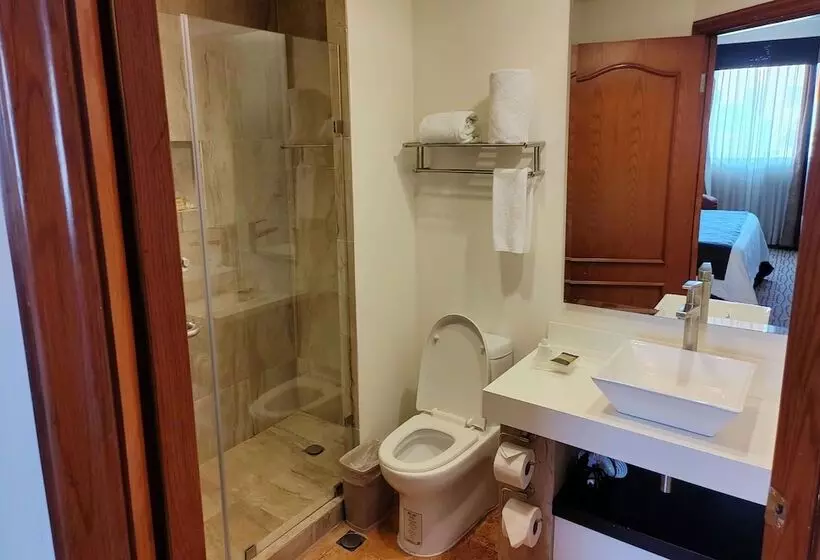 هتل Wyndham Garden Torreon Tecnologico