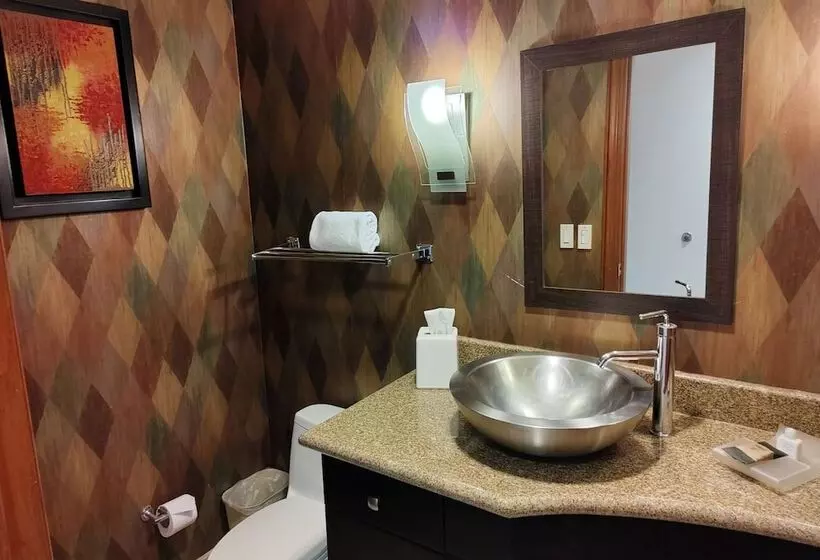 هتل Wyndham Garden Torreon Tecnologico