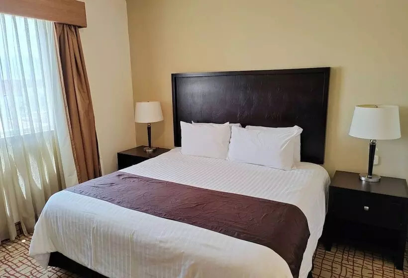 هتل Wyndham Garden Torreon Tecnologico