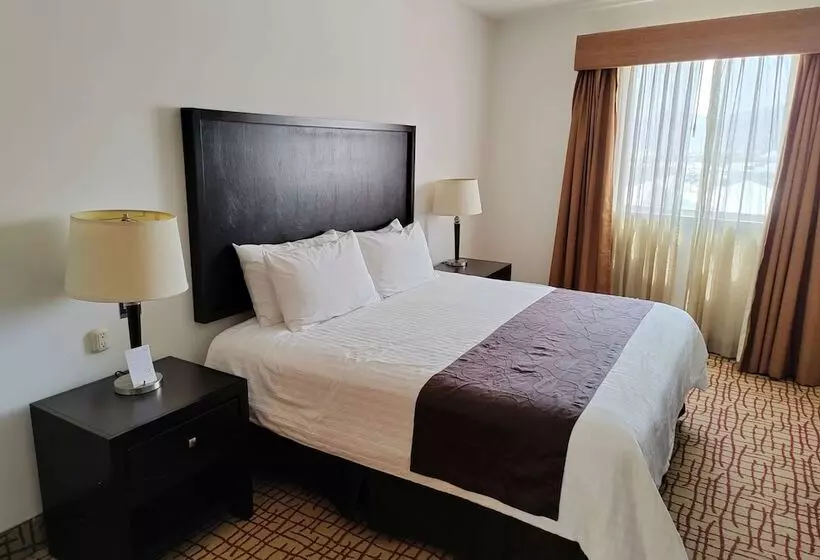 هتل Wyndham Garden Torreon Tecnologico