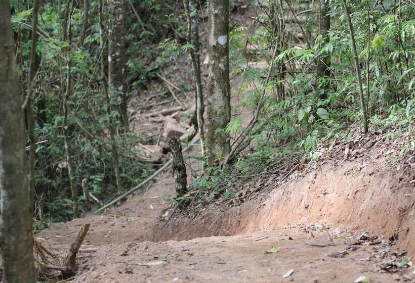 Big Valley Hotel Fazenda