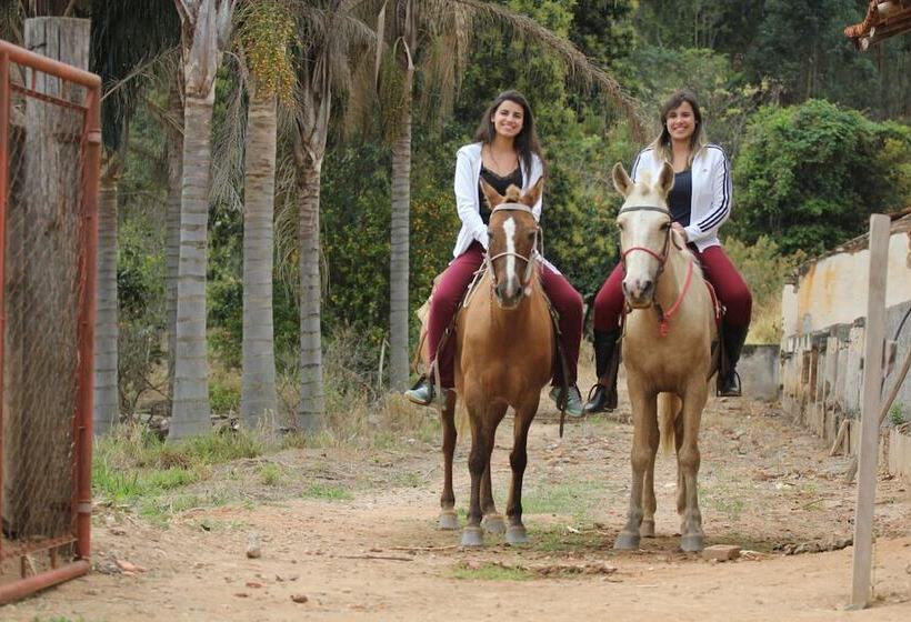 Big Valley Hotel Fazenda