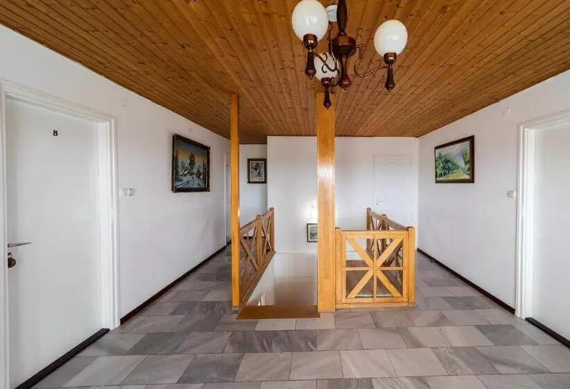 Aamiaismajoitus (B&B) Villa Lotus