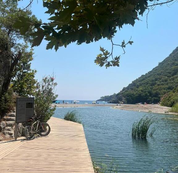 هتل 212 Olympos