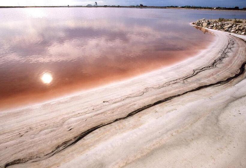 هتل B&b Palazzo Eliss Di Bartocci Srl