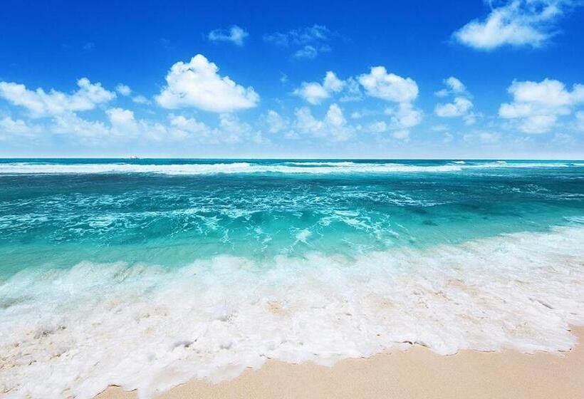 هتل B&b Palazzo Eliss Di Bartocci Srl