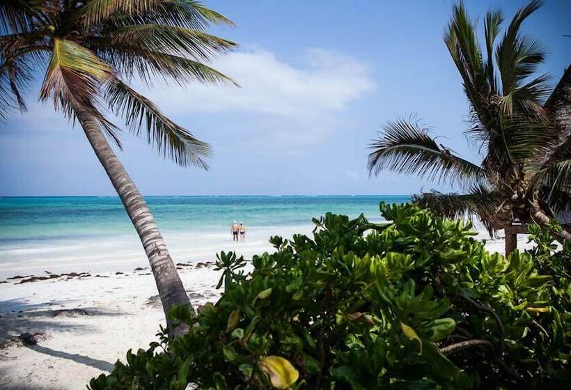 هتل Hodi Hodi Zanzibar