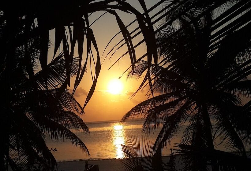 هتل Hodi Hodi Zanzibar