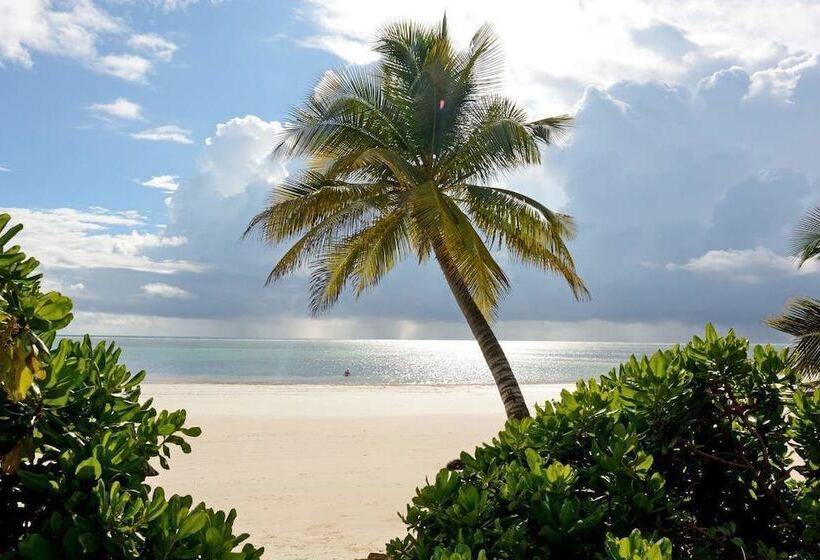 هتل Hodi Hodi Zanzibar