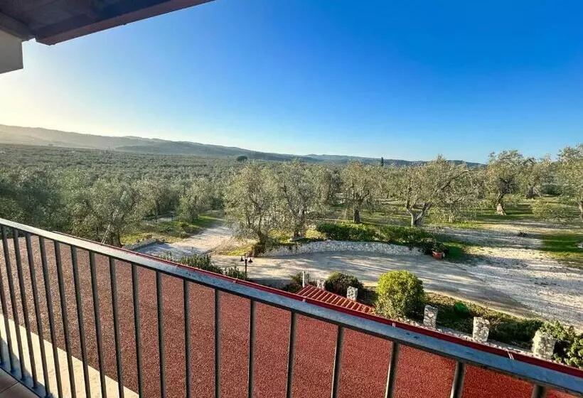 Valle Degli Ulivi B&b