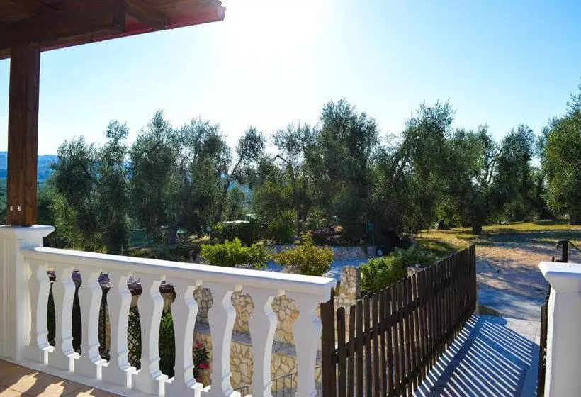 Valle Degli Ulivi B&b