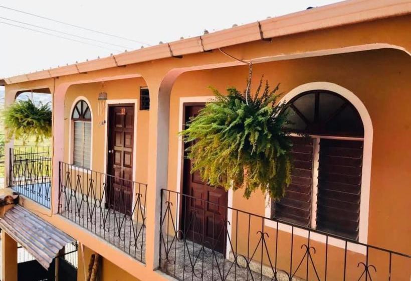 تختخواب و صبحانه El Almendro