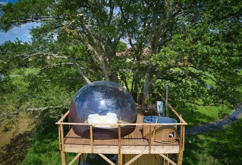 ベッドアンドブレックファースト Les Bulles Perchées De Lartigue