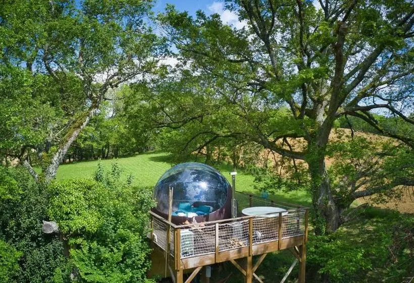 ベッドアンドブレックファースト Les Bulles Perchées De Lartigue