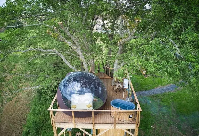 ベッドアンドブレックファースト Les Bulles Perchées De Lartigue