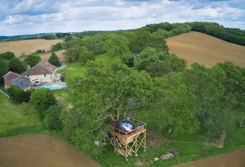 ベッドアンドブレックファースト Les Bulles Perchées De Lartigue