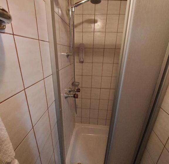 تختخواب و صبحانه Zum Schneider