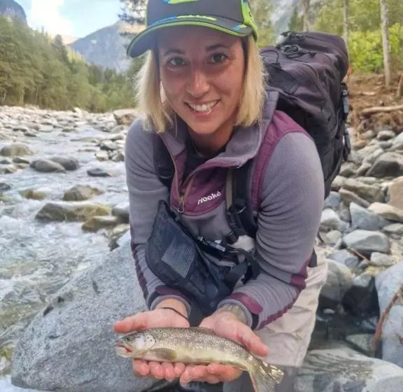 تختخواب و صبحانه Zum Schneider