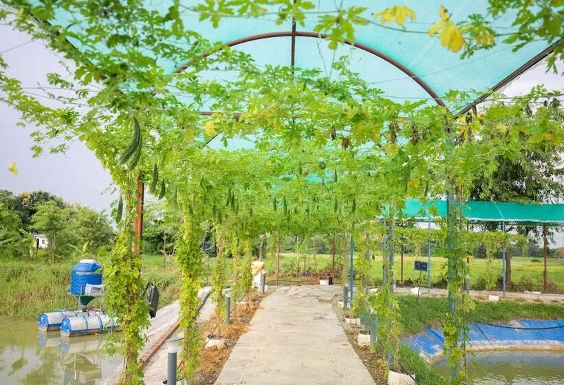 هتل Lumbini Palace Resort