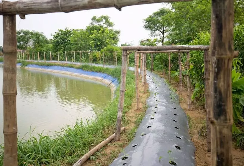 هتل Lumbini Palace Resort