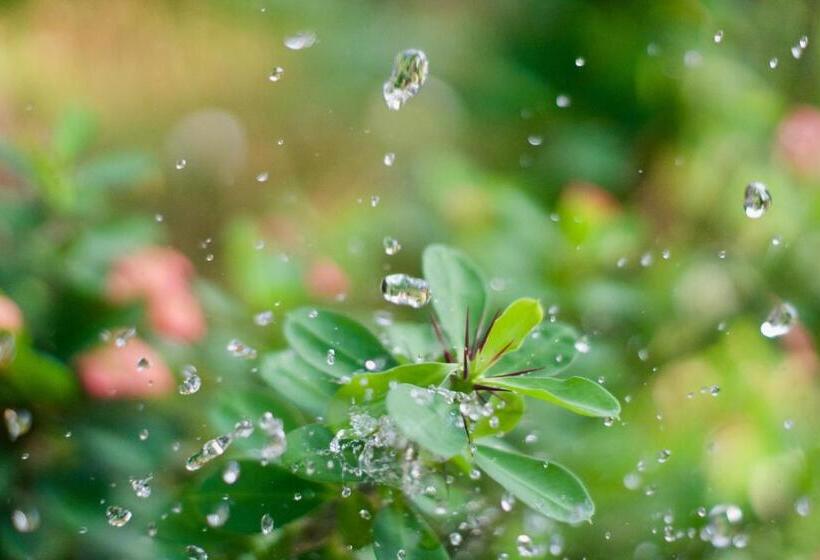 فندق Oceana Hills Residency