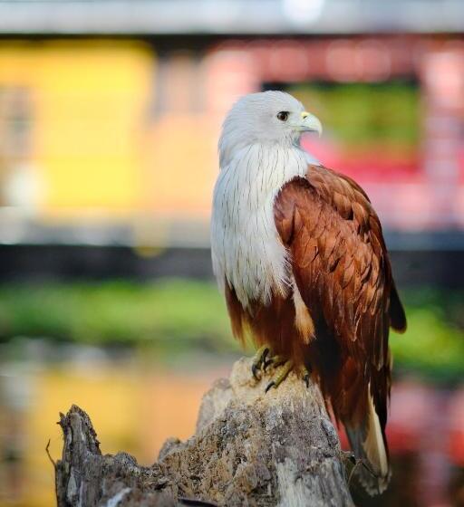 فندق Oceana Hills Residency