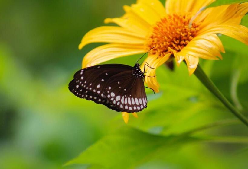 فندق Oceana Hills Residency