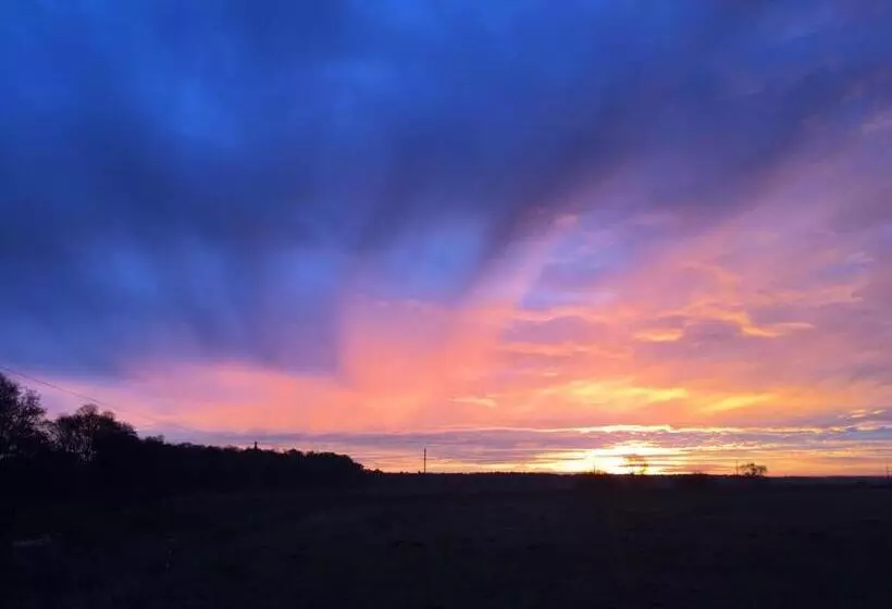 Apartmenthaus Am Park