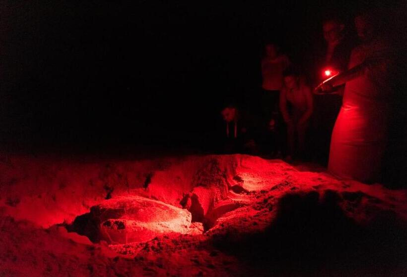 هتل Ras Al Jinz Turtle Reserve