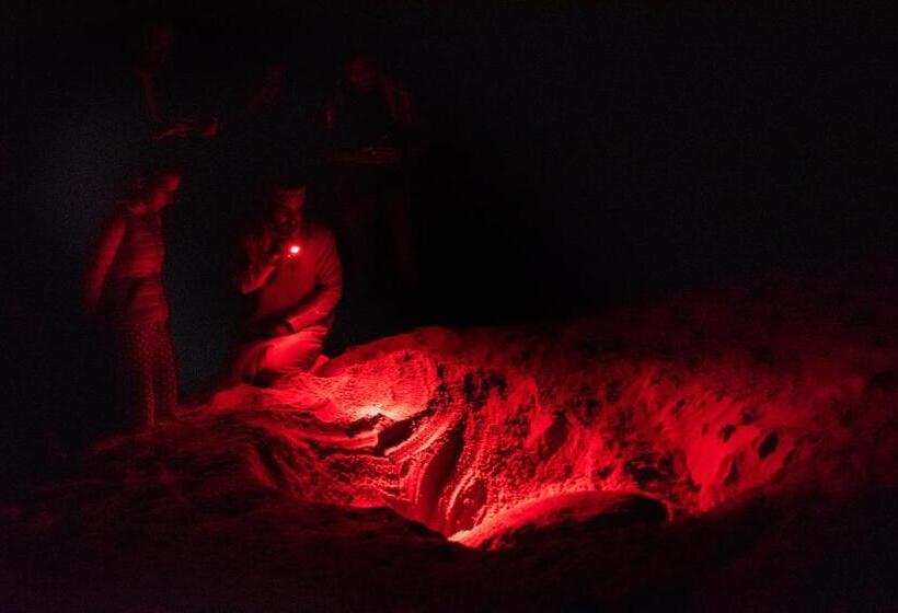 هتل Ras Al Jinz Turtle Reserve