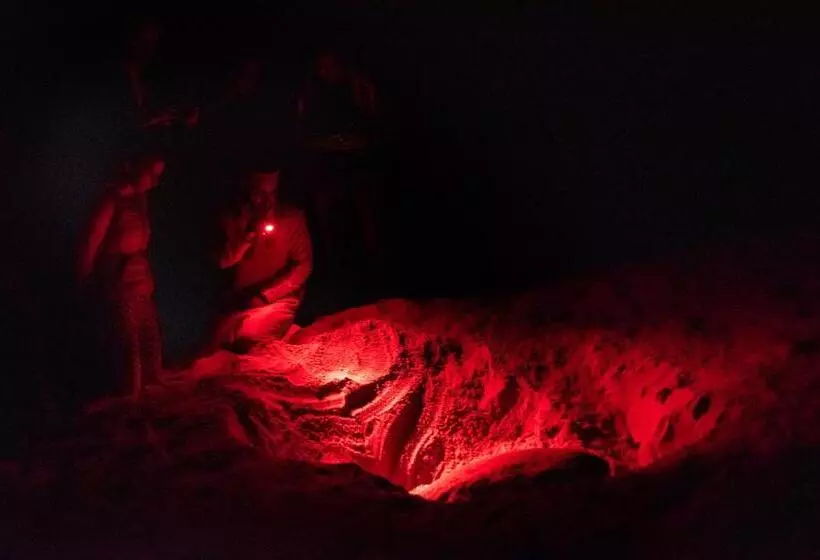 هتل Ras Al Jinz Turtle Reserve