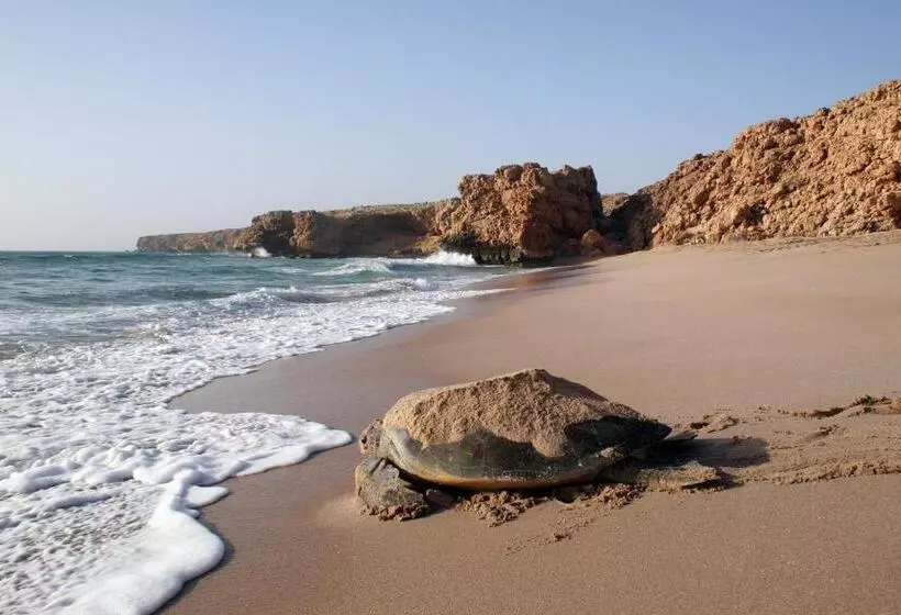 هتل Ras Al Jinz Turtle Reserve